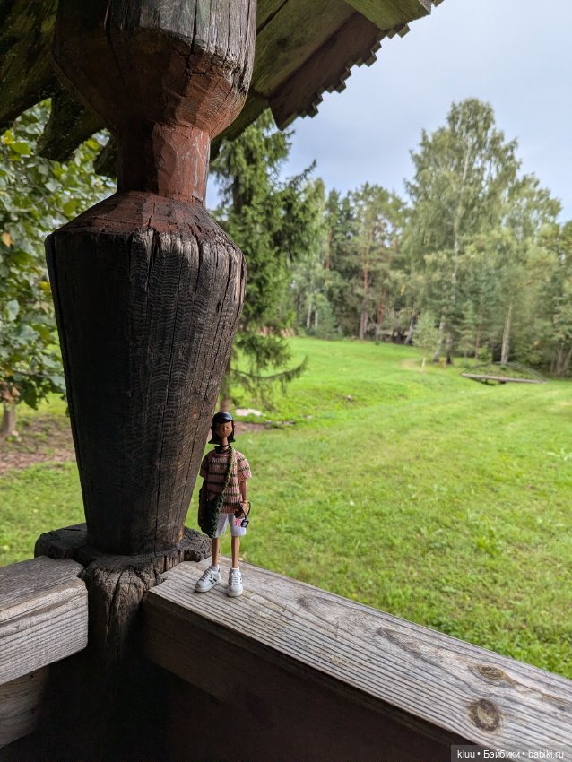 Нив путешествует. Торжок, август 2024