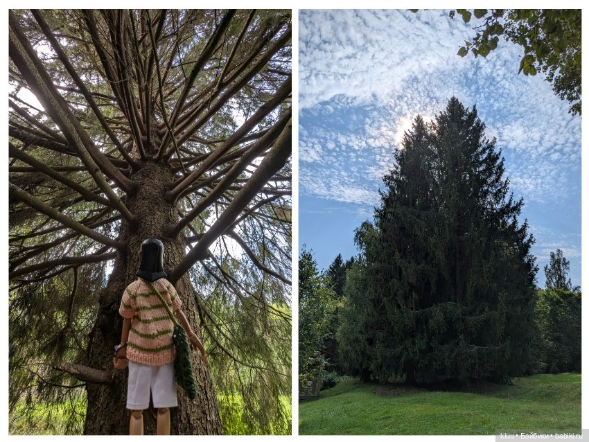 Нив путешествует. Торжок, август 2024