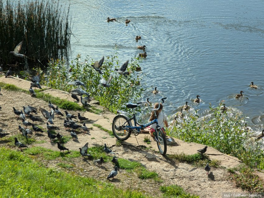 Нив путешествует. Торжок, август 2024 (фото 4)