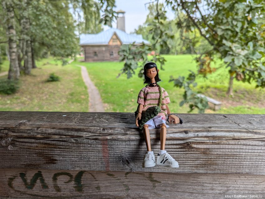 Нив путешествует. Торжок, август 2024