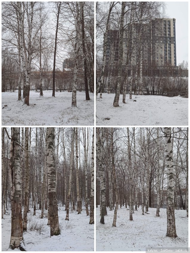 Кот и Кит. Давайте делиться