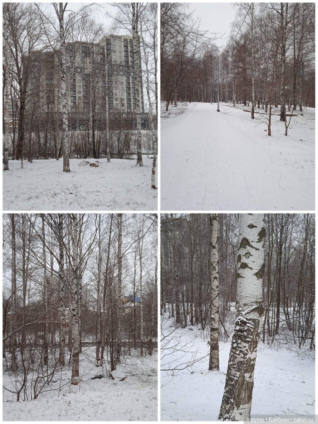 Кот и Кит. Давайте делиться