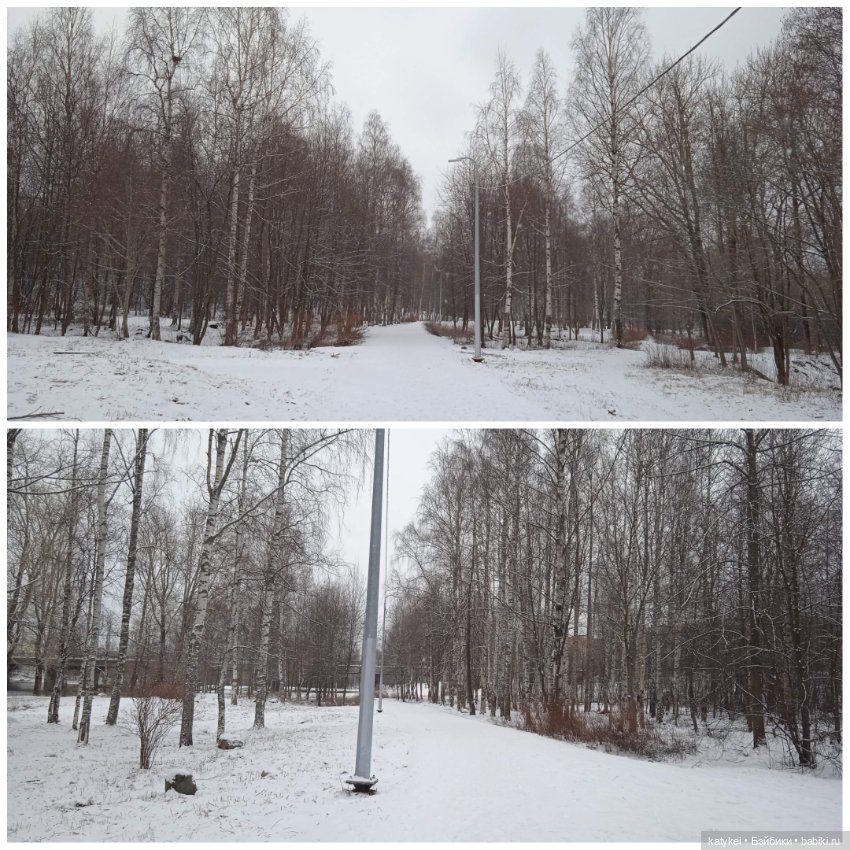 Кот и Кит. Давайте делиться