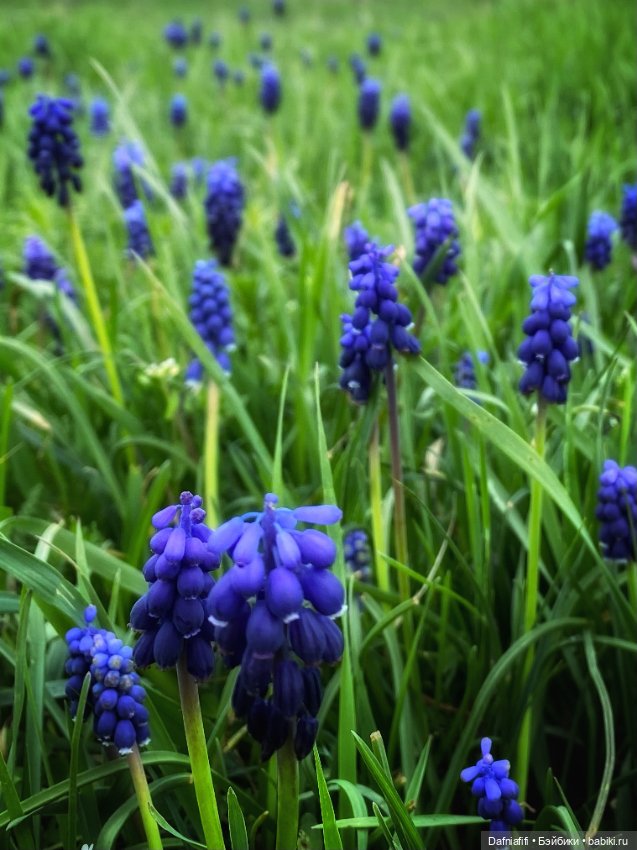 Келли и Майя — Игровые куклы разных производителей (Разное): редкие бренды