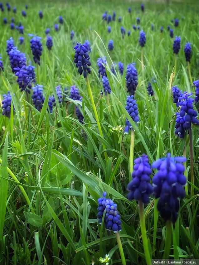 Келли и Майя — Игровые куклы разных производителей (Разное): редкие бренды