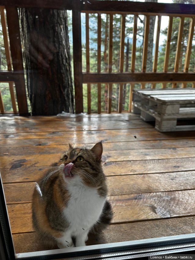 Поездка в Архыз — Туризм и путешествия: фотоотчеты из поездок