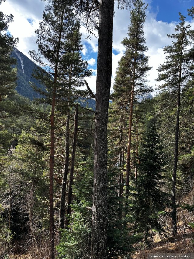 Поездка в Архыз — Туризм и путешествия: фотоотчеты из поездок