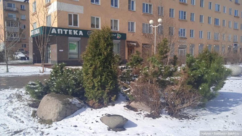 Кто хочет стать космонавтом (фото 4)