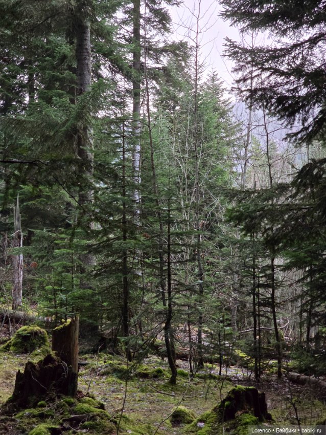 Поездка в Архыз — Туризм и путешествия: фотоотчеты из поездок