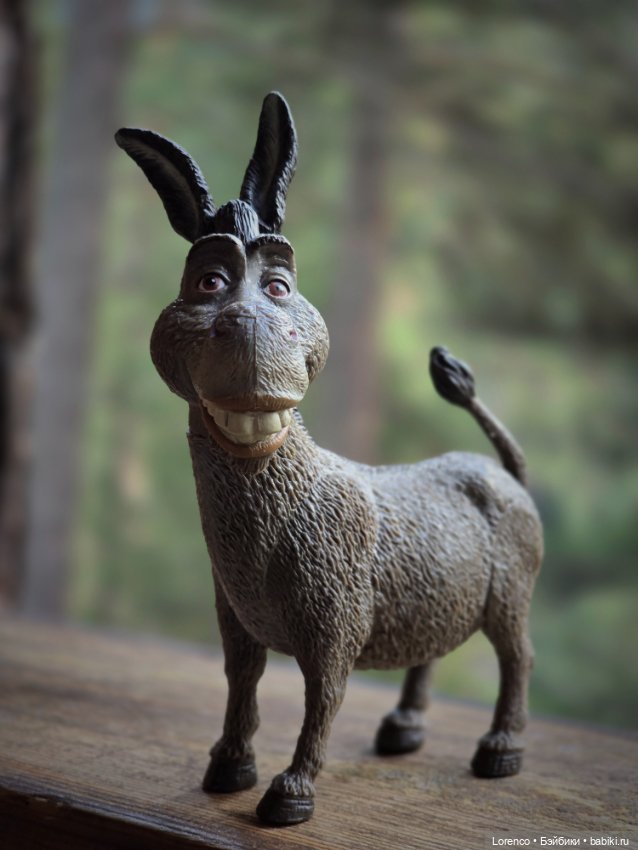 Поездка в Архыз — Туризм и путешествия: фотоотчеты из поездок