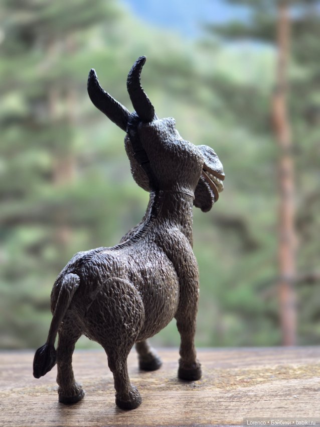 Поездка в Архыз — Туризм и путешествия: фотоотчеты из поездок