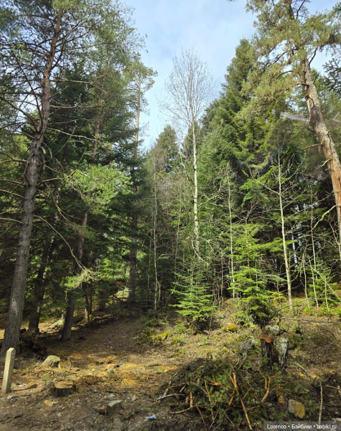 Поездка в Архыз — Туризм и путешествия: фотоотчеты из поездок