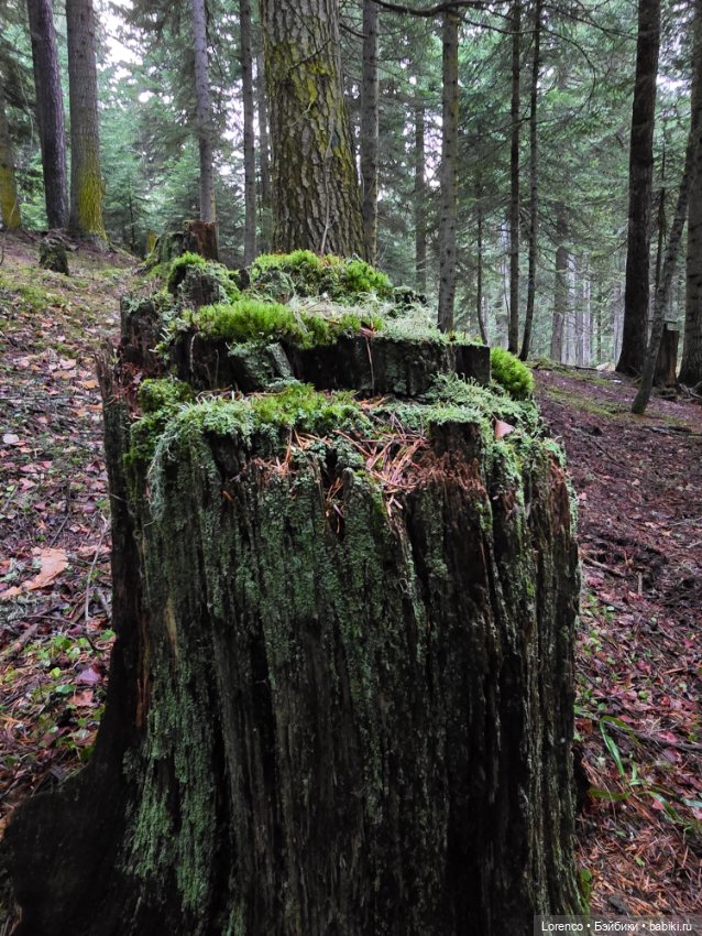 Поездка в Архыз — Туризм и путешествия: фотоотчеты из поездок