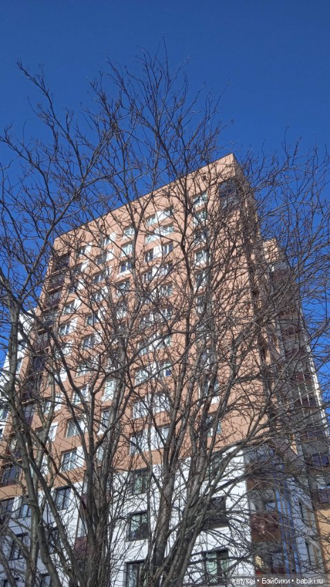 Кто хочет стать космонавтом (фото 2)