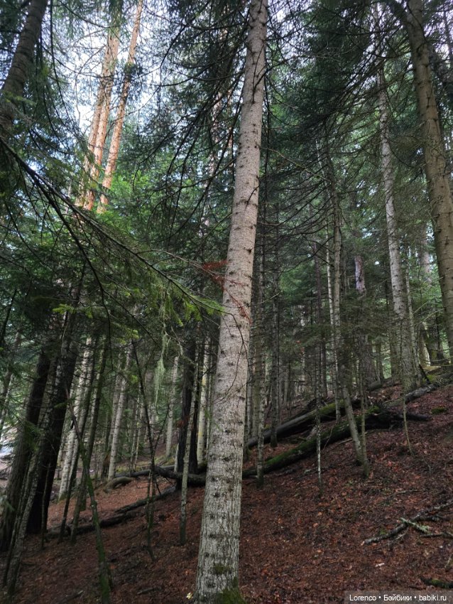 Поездка в Архыз — Туризм и путешествия: фотоотчеты из поездок