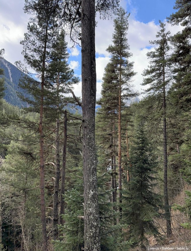 Поездка в Архыз — Туризм и путешествия: фотоотчеты из поездок
