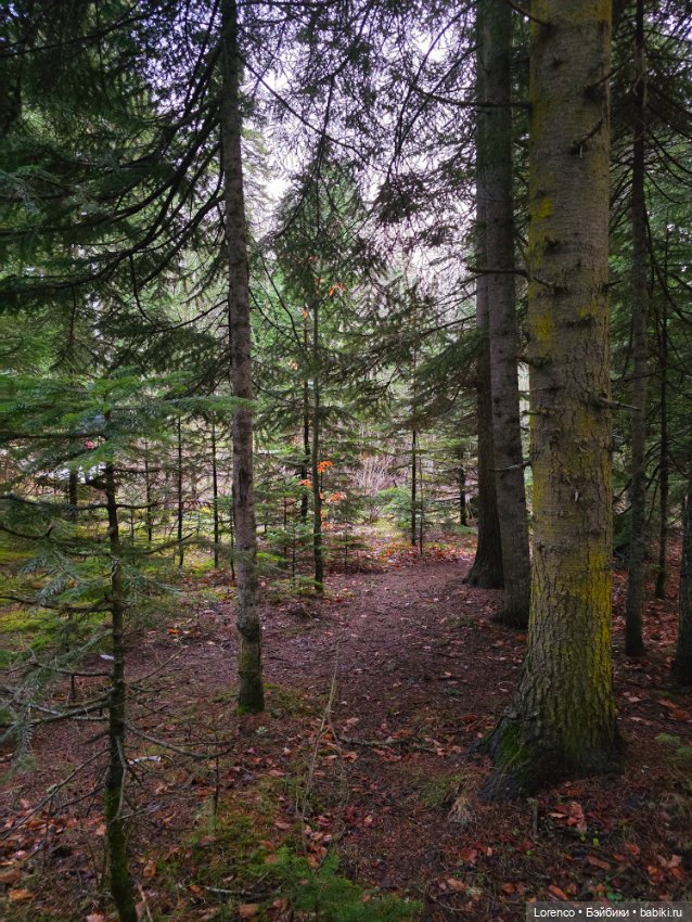 Поездка в Архыз — Туризм и путешествия: фотоотчеты из поездок