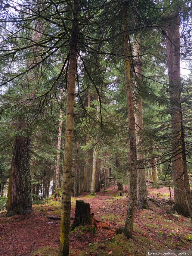 Поездка в Архыз — Туризм и путешествия: фотоотчеты из поездок