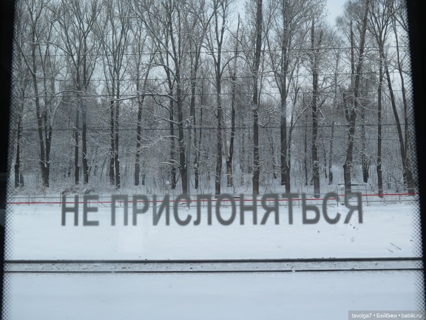 Jaggets Famosa мини и снег в Москве в апреле 2025 (фото 3)