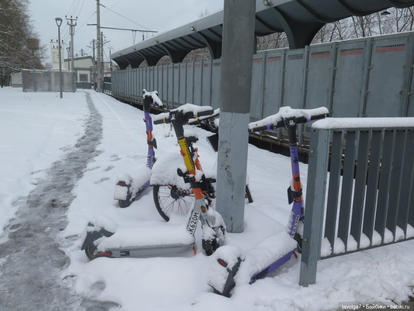 Jaggets Famosa мини и снег в Москве в апреле 2025 (фото 10)