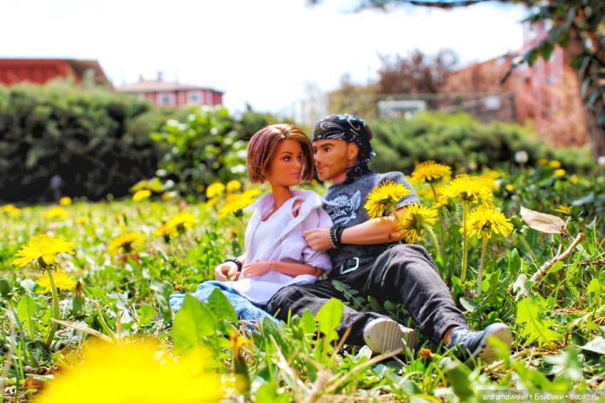 День вдвоем — Куклы Barbie (Барби): Looks (фото 3)