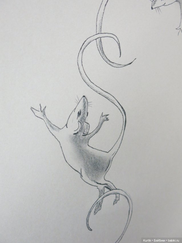 Но зато мой друг лучше всех играет блюз, или Крысоловка из Гамельна (фото 6)