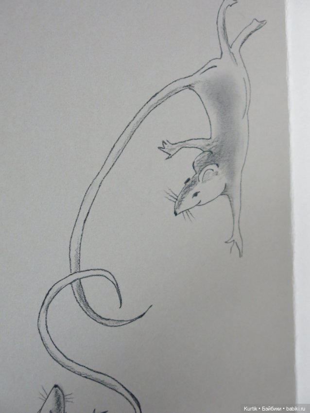 Но зато мой друг лучше всех играет блюз, или Крысоловка из Гамельна (фото 5)