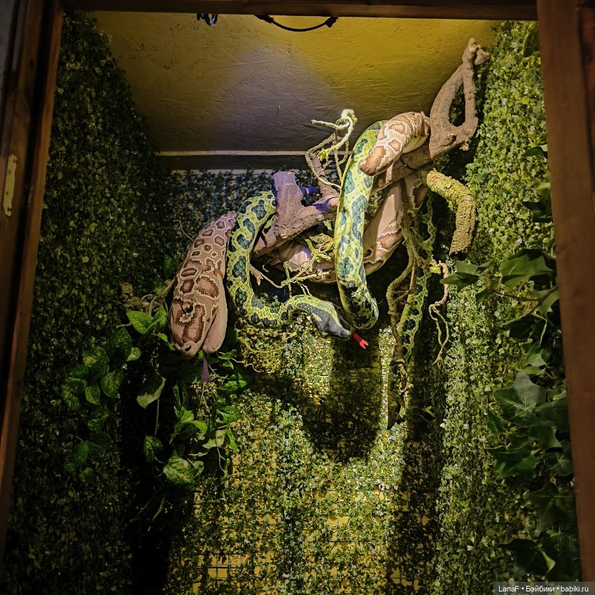 Эля в гостях у Бабы-Яги ( пепита Антонио Хуан) (фото 10)