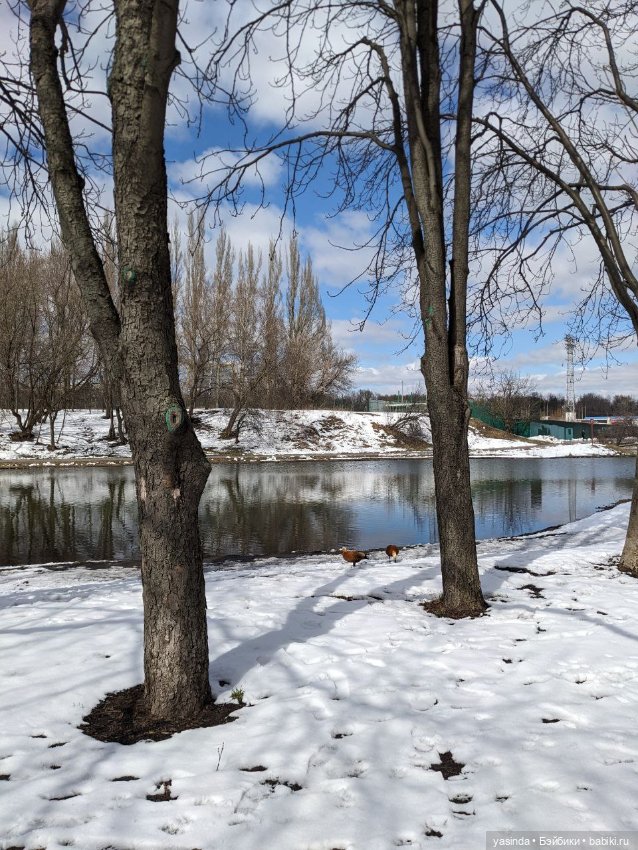 В юном месяце апреле — Куклы Takara Tomy (Такара): Licca (Ликка) (фото 7)