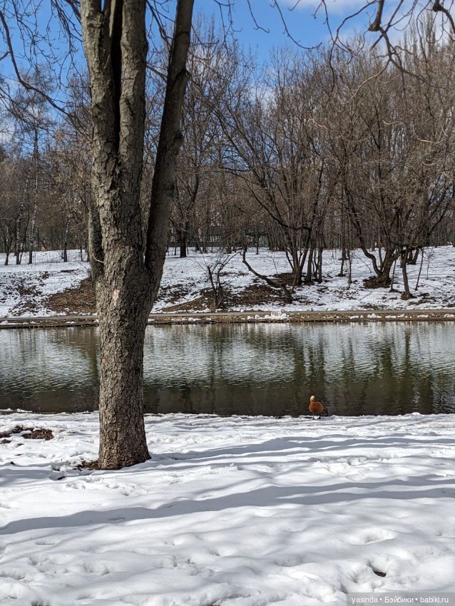 В юном месяце апреле — Куклы Takara Tomy (Такара): Licca (Ликка) (фото 10)