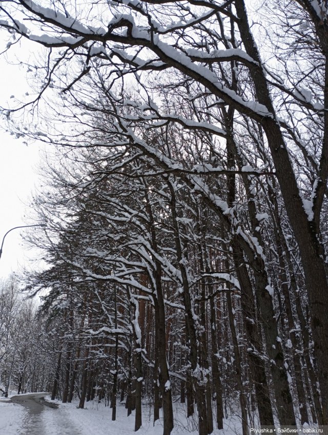 В зимнем лесу. В апреле) — Аналоги Барби и куклы 1/6: клоны 90
