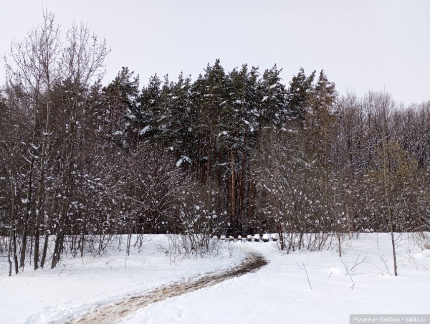 В зимнем лесу. В апреле) — Аналоги Барби и куклы 1/6: клоны 90