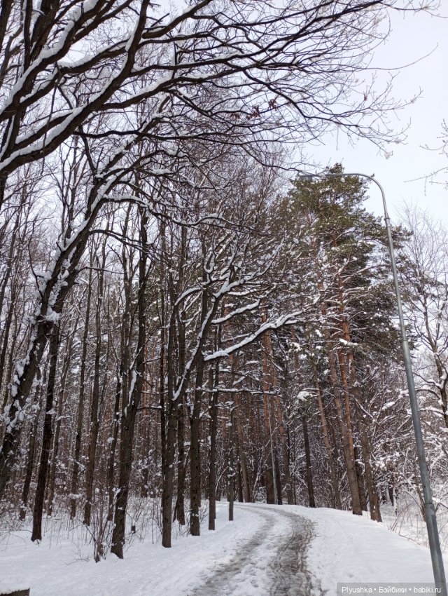 В зимнем лесу. В апреле) — Аналоги Барби и куклы 1/6: клоны 90 (фото 6)