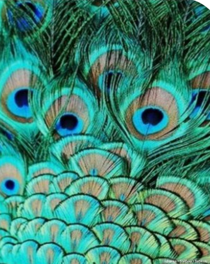 А любви то хочется — Винтажные куклы ГДР (Немки): Бигги