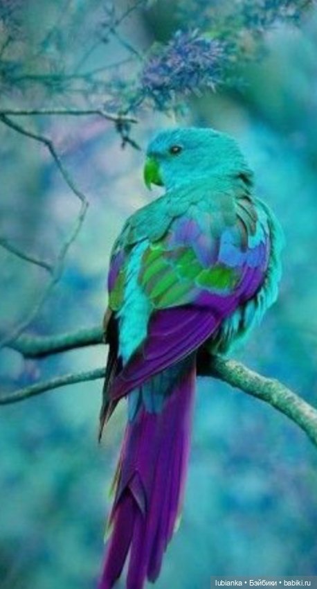 А любви то хочется — Винтажные куклы ГДР (Немки): Бигги