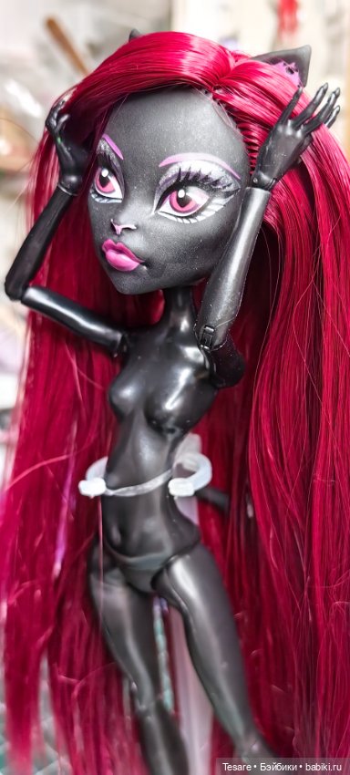 Восстановление. Кэтти — Куклы Monster High и Ever After High: G1