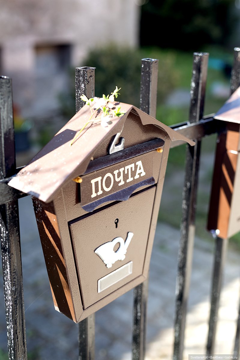 Весна-Алиса в диком Калининградском парке