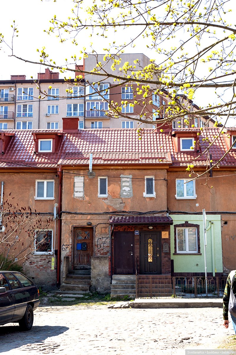 Весна-Алиса в диком Калининградском парке