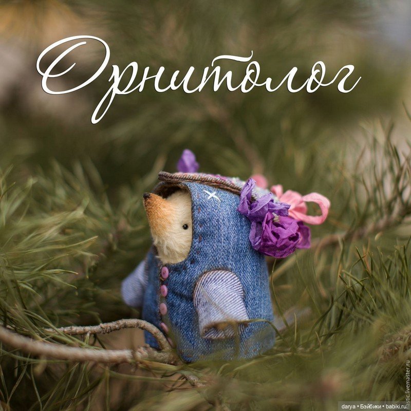 Ежики, автор Настёна Никитина (фото 3)