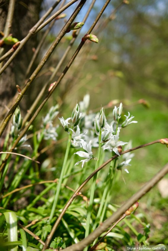 Как дружочек Кусь фотографом заделался😁