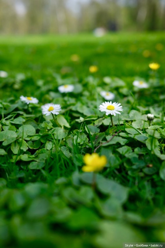 Как дружочек Кусь фотографом заделался😁