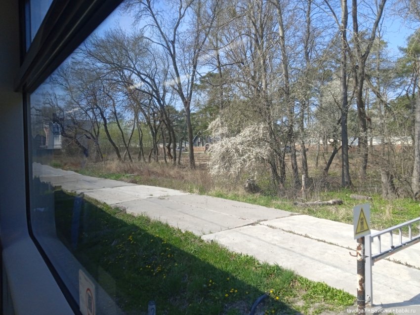 Балтика апрель 2025 — Туризм и путешествия: фотоотчеты из поездок (фото 9)