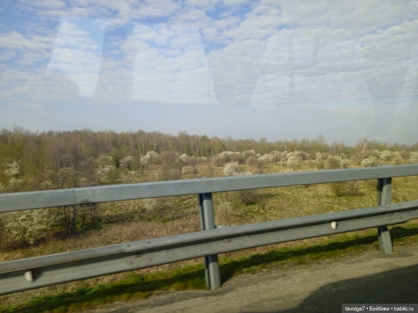 Балтика апрель 2025 — Туризм и путешествия: фотоотчеты из поездок (фото 4)