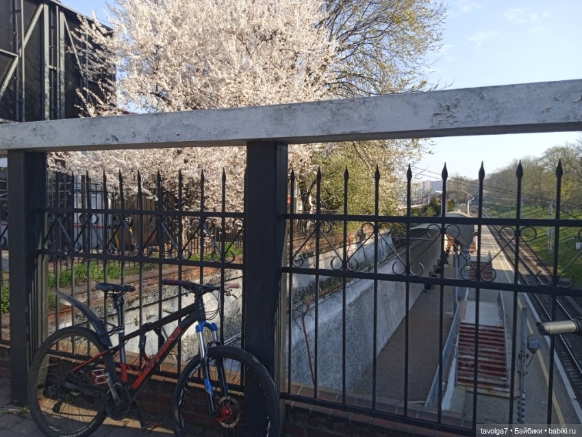 Балтика апрель 2025 — Туризм и путешествия: фотоотчеты из поездок (фото 7)