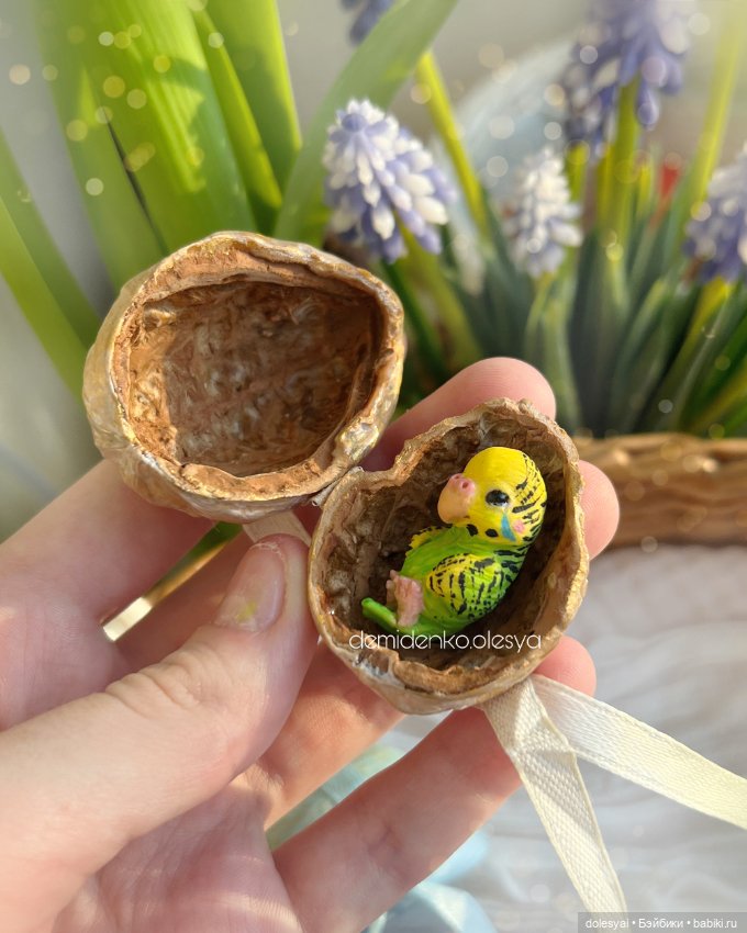 Птички орехожители: все фото (фото 5)