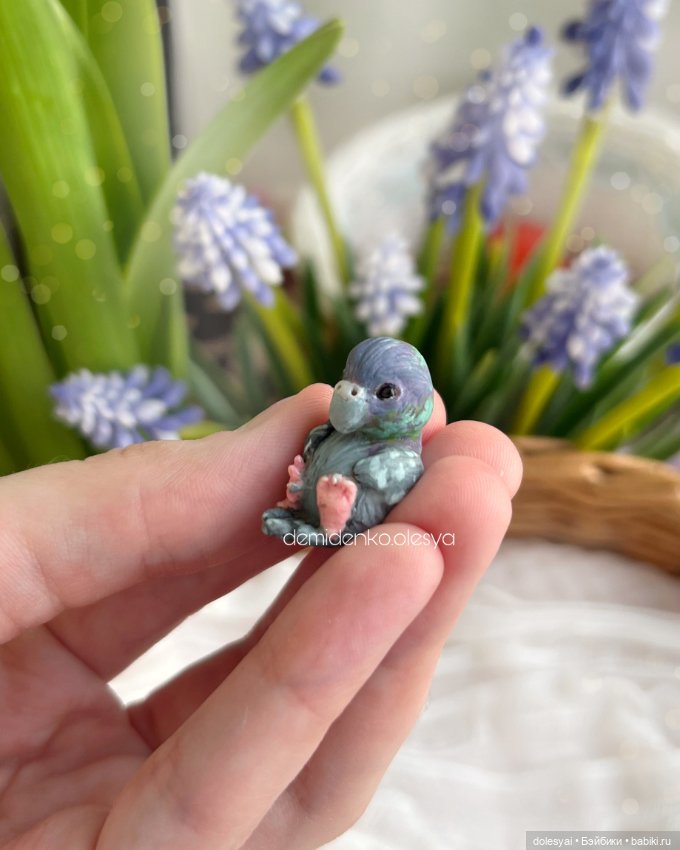 Птички орехожители: все фото (фото 2)