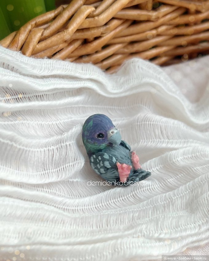 Птички орехожители: все фото (фото 6)