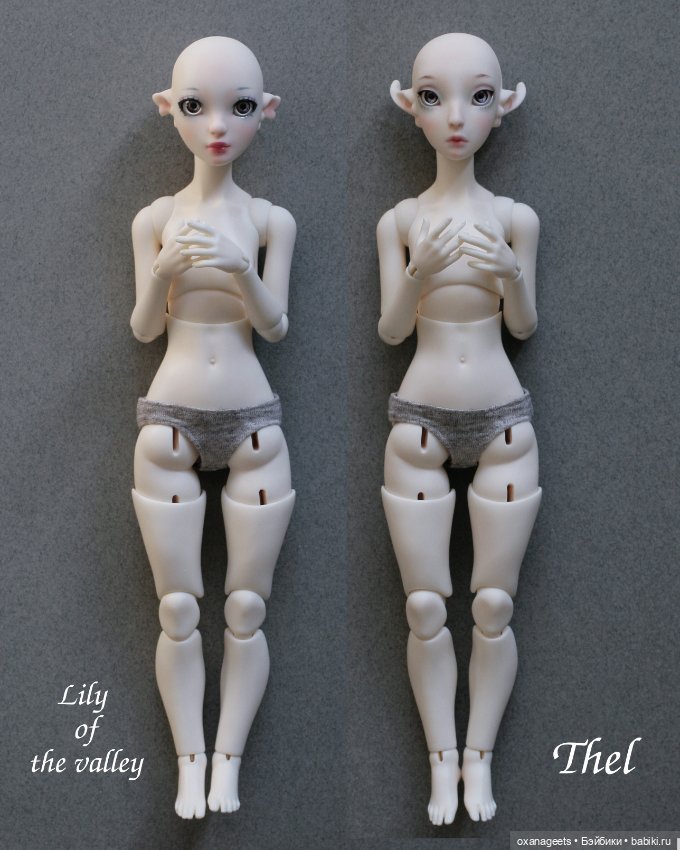 Bardo Research: предзаказ на Ландыш и Тэль (фото 4)