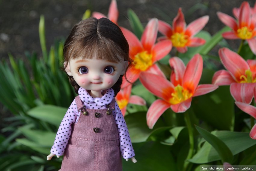 О непринятии дорогих кукол