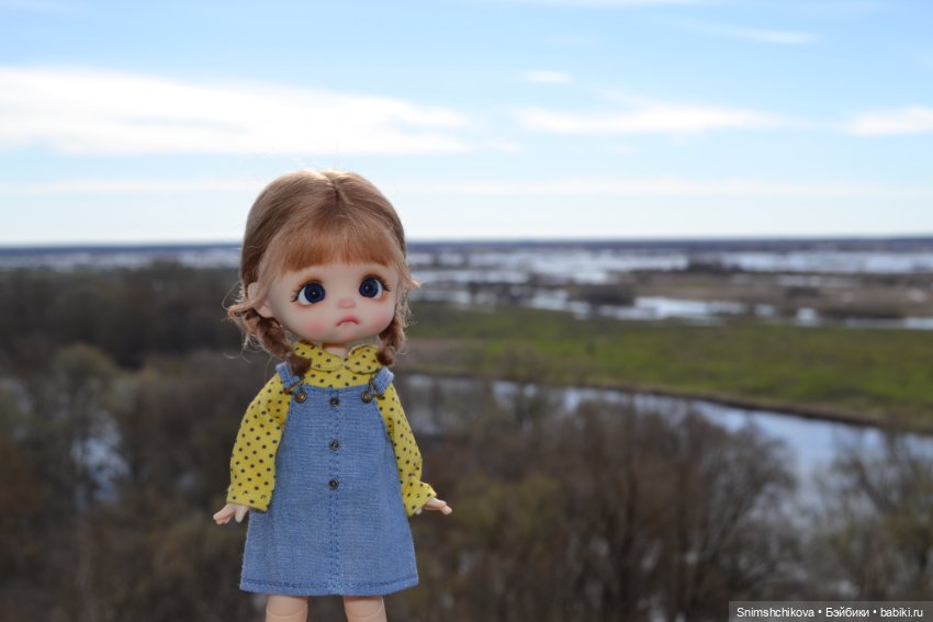 О непринятии дорогих кукол (фото 10)